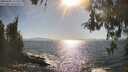./images/koeye/fitz-hugh/20260501/fitz-hugh20260501_171502M.jpg
