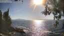 ./images/koeye/fitz-hugh/20260501/fitz-hugh20260501_173501M.jpg