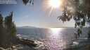 ./images/koeye/fitz-hugh/20260501/fitz-hugh20260501_174501M.jpg