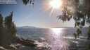 ./images/koeye/fitz-hugh/20260501/fitz-hugh20260501_175002M.jpg
