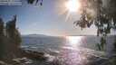./images/koeye/fitz-hugh/20260501/fitz-hugh20260501_175501M.jpg