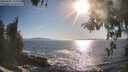 ./images/koeye/fitz-hugh/20260501/fitz-hugh20260501_180001M.jpg