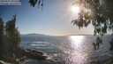 ./images/koeye/fitz-hugh/20260501/fitz-hugh20260501_181501M.jpg