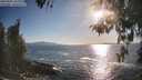 ./images/koeye/fitz-hugh/20260501/fitz-hugh20260501_183001M.jpg