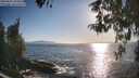 ./images/koeye/fitz-hugh/20260501/fitz-hugh20260501_183501M.jpg