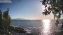 ./images/koeye/fitz-hugh/20260501/fitz-hugh20260501_184501M.jpg
