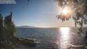 ./images/koeye/fitz-hugh/20260501/fitz-hugh20260501_185001M.jpg