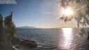 ./images/koeye/fitz-hugh/20260501/fitz-hugh20260501_185501M.jpg