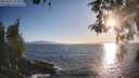 ./images/koeye/fitz-hugh/20260501/fitz-hugh20260501_191501M.jpg
