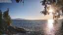 ./images/koeye/fitz-hugh/20260501/fitz-hugh20260501_192001M.jpg