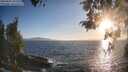 ./images/koeye/fitz-hugh/20260501/fitz-hugh20260501_193501M.jpg