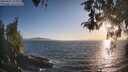./images/koeye/fitz-hugh/20260501/fitz-hugh20260501_194001M.jpg