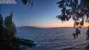 ./images/koeye/fitz-hugh/20260501/fitz-hugh20260501_212501M.jpg