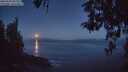 ./images/koeye/fitz-hugh/20260502/fitz-hugh20260502_051501M.jpg