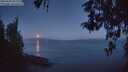 ./images/koeye/fitz-hugh/20260502/fitz-hugh20260502_052001M.jpg