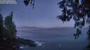 ./images/koeye/fitz-hugh/20260502/fitz-hugh20260502_053001M.jpg