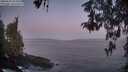 ./images/koeye/fitz-hugh/20260502/fitz-hugh20260502_054501M.jpg