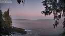 ./images/koeye/fitz-hugh/20260502/fitz-hugh20260502_055001M.jpg