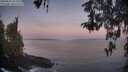 ./images/koeye/fitz-hugh/20260502/fitz-hugh20260502_055501M.jpg