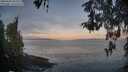 ./images/koeye/fitz-hugh/20260502/fitz-hugh20260502_061501M.jpg