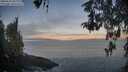 ./images/koeye/fitz-hugh/20260502/fitz-hugh20260502_062001M.jpg