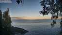 ./images/koeye/fitz-hugh/20260502/fitz-hugh20260502_063501M.jpg