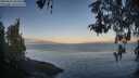 ./images/koeye/fitz-hugh/20260502/fitz-hugh20260502_064501M.jpg