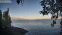 ./images/koeye/fitz-hugh/20260502/fitz-hugh20260502_065001M.jpg