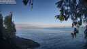 ./images/koeye/fitz-hugh/20260502/fitz-hugh20260502_080001M.jpg