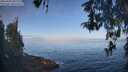 ./images/koeye/fitz-hugh/20260502/fitz-hugh20260502_081501M.jpg