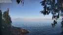 ./images/koeye/fitz-hugh/20260502/fitz-hugh20260502_082002M.jpg