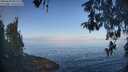 ./images/koeye/fitz-hugh/20260502/fitz-hugh20260502_083001M.jpg