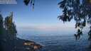 ./images/koeye/fitz-hugh/20260502/fitz-hugh20260502_083502M.jpg