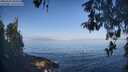 ./images/koeye/fitz-hugh/20260502/fitz-hugh20260502_084501M.jpg