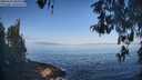./images/koeye/fitz-hugh/20260502/fitz-hugh20260502_085001M.jpg