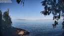 ./images/koeye/fitz-hugh/20260502/fitz-hugh20260502_085501M.jpg