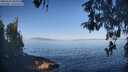 ./images/koeye/fitz-hugh/20260502/fitz-hugh20260502_090001M.jpg