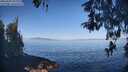./images/koeye/fitz-hugh/20260502/fitz-hugh20260502_092002M.jpg