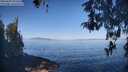 ./images/koeye/fitz-hugh/20260502/fitz-hugh20260502_092502M.jpg