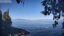 ./images/koeye/fitz-hugh/20260502/fitz-hugh20260502_094001M.jpg