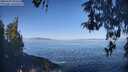 ./images/koeye/fitz-hugh/20260502/fitz-hugh20260502_094502M.jpg