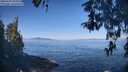 ./images/koeye/fitz-hugh/20260502/fitz-hugh20260502_095001M.jpg
