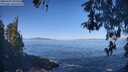 ./images/koeye/fitz-hugh/20260502/fitz-hugh20260502_095501M.jpg