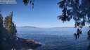 ./images/koeye/fitz-hugh/20260502/fitz-hugh20260502_100001M.jpg
