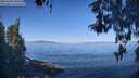 ./images/koeye/fitz-hugh/20260502/fitz-hugh20260502_100502M.jpg