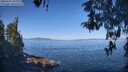 ./images/koeye/fitz-hugh/20260502/fitz-hugh20260502_102002M.jpg