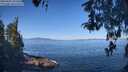 ./images/koeye/fitz-hugh/20260502/fitz-hugh20260502_102501M.jpg