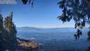 ./images/koeye/fitz-hugh/20260502/fitz-hugh20260502_103002M.jpg