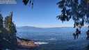 ./images/koeye/fitz-hugh/20260502/fitz-hugh20260502_103501M.jpg
