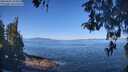 ./images/koeye/fitz-hugh/20260502/fitz-hugh20260502_104501M.jpg